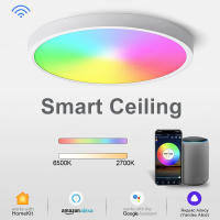 Lámpara De Techo WiFi LED Moderna Nórdica Con Luz Redonda Inteligente Dimmable RGB+CW+WW Compatible Con Alexa Google Iluminación Interior - details 0