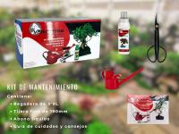 Kit básico de Mantenimiento para Bonsái - Bonsaigranada - details 0