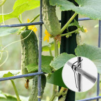 50Pc Hebilla De Conexión Para Trepaderes Plantas Metálica De Acero Inoxidable Soporte De Tubo Para Jardín Y Estufa Verde - details 3