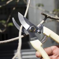 1Pc Tijeras De Podar Profesionales Para Jardín Y Huerto Herramienta Manual Para Bonsái Cortadora De Enredaderas Y Podar - details 5