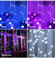 Luces De Ceniza LED 5M Cortina De Navidad Para Fiestas De Cumpleaños Y Bodas Decoración De Jardín Y Calle 110V 220V - details 4