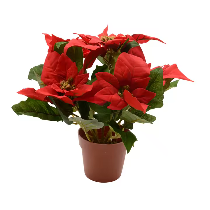 PLANTA ARTIFICIAL FLOR DE PASCUA, Ã˜27x27cm, BASICS - 1