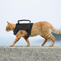 Harnés Táctico Ajustable Para Perros Y Gatos Pequeños Vests Para Gatos Y Perros De Servicio Militar Entrenamiento Y Caminata - details 2