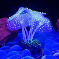 Decoraciones De Acuario Simulación De Mundo Submarino Luminoso De Silicona Coral Falso Fluorescente Anémona De Mar Colorida Para Jaula De Peces - details 17