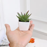 Mini Plantas Artificiales De Suculentas En Blanco Bonsái Set De 6 Piezas Para Decoración De Escritorio Y Ventana Interior - details 9
