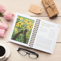 Guía De Estudio De La Biblia Para Mujeres Año Hermoso En La Biblia 52 Semanas Con Lecturas Sugeridas Guía De Estudio De La Biblia Para Mujeres - details 2