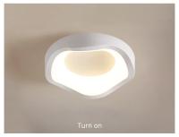 Lámpara De Techo Minimalista LED Para Entrada Pasillo Y Balcones Iluminación Interior Creativa En Acrílico Luz De Ambiente Doméstico Moderna Y Eficiente - details 8