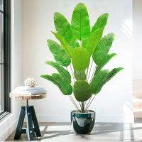 Planta Artificial De Palma Tropical Grande Hojas De Plátano Falso 24 Hojas Toque Real Strelitzia Reginae Para Jardín Interior 65-120 Cm - details 8