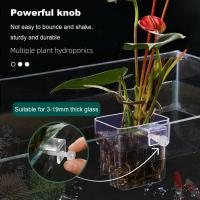 Cesta De Plantación Hidroponía Colgante Para Plantas Acuáticas Soporte Para Hierba De Agua Para Acuario De Peces - details 1