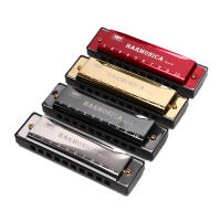 Harmonica De 10 Agujeros Organ Puzzle Instrumento Musical Para Principiantes Caja De Resina Material De Cobre Phosphor Bronze - details 2