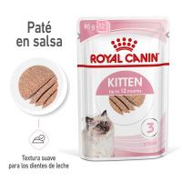 Precio Especial por Caducidad 28/8/2025 - 12 x 85 g |Royal Canin Kitten paté sobre para gatos - details 1