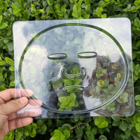 Placa De Máscara Facial Reutilizable De PVC Transparente 3Pc/5Pcs Herramienta De Belleza Para Cuidado De La Piel Con Molde De Frutas Vegetales Y Algas Marinas - details 3