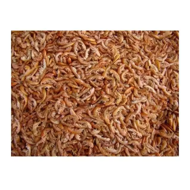 COMIDA PARA TORTUGAS A GRANEL GAMMARUS GAMBAS SECAS 2500 ML-250GR - 1