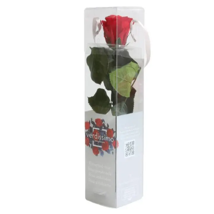 Tusplantas Rosa Tallo Corto / Largo Preservada y Seca - Regalo para Pareja y Familia - 1