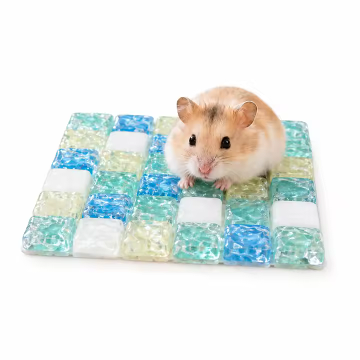 PAWDLE Alfombrilla Refrescante Verano para Pequeñas Mascotas de Piedra y Piedra Cristalina, 10 x 10 cm y 30 x 30 cm, Azul, Verde y Blanco, Base Fresca para Verano, Ideal para pequeñas mascotas de interior conejos, cobayas, hámsters, chinchillas, hurones - - 1