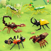Bloques De Construcción Tema Jardín De Vegetales Y Animales Lindos Dragonfly Spider Mantis Centipede Grasshopper Honeybee Para Niños Mayor De 6 Años Material ABS Sin Batería - details 1