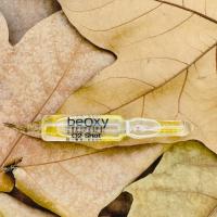 Beauty Shot Combinado beOxy 10 unidades x 2ml. - details 0