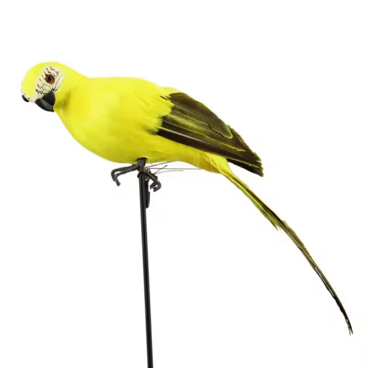 Adorno De Jardín De Imitación De Pájaro Pirot 25cm Decoración De Hombro Pirate Con Plumas Artificiales Simulación De Perico - 1