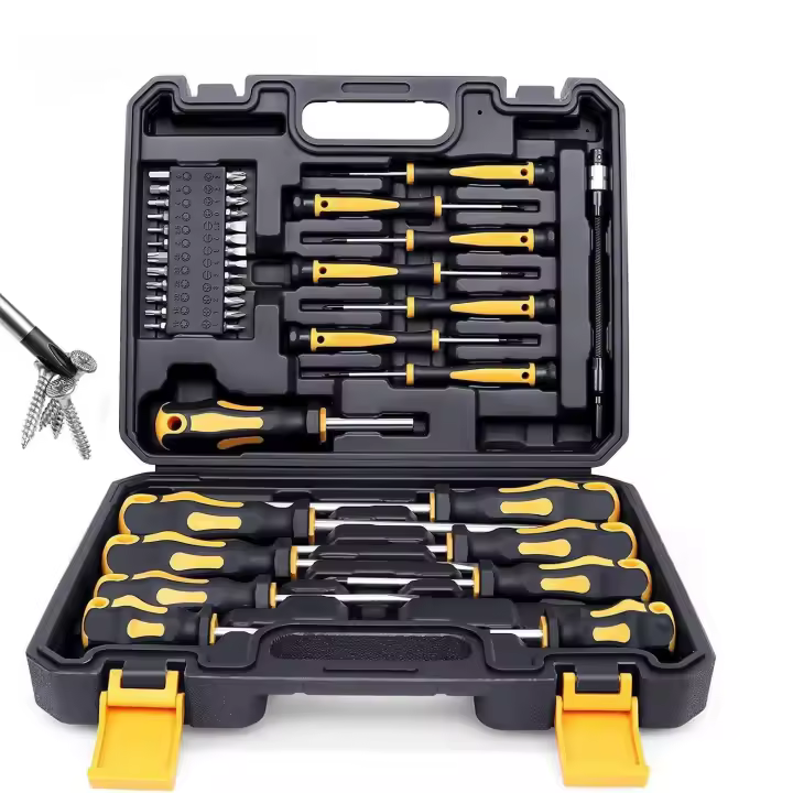 Juego De Destornilladores Magnéticos Con Estuche 43/42 Piezas Incluye Slotted Phillips Hex Pozidriv Torx Herramientas De Precisión Para Hombre - 1