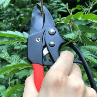 Tijeras De Podar Profesional Con Engranaje Segmentado Y Anillo Para Mano Ahorro De Fuerza Para Podar Ramales En Jardín Y Frutas - details 3