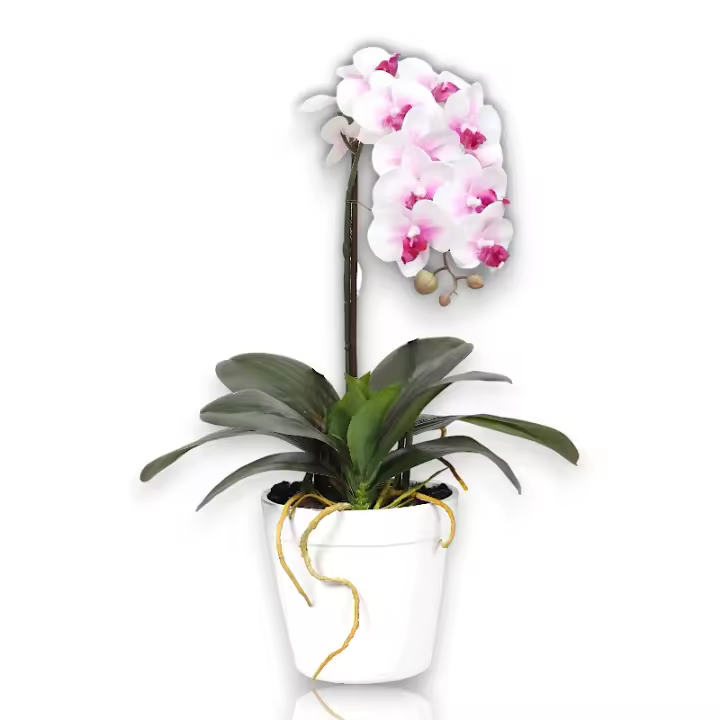 Maceta Orquídeas Artificiales - 43cm - Karawan. - 1