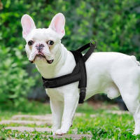Harnés De Nylon Suave Para Perros Pequeños Y Medianos Sin Arrastre Harnés De Piel Para Pitbull Y Perros Chihuahua Pug Ajustable Y Padded - details 15