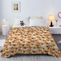 Manta De Pomeranian Para Niños Regalo Para Amantes De Los Pomeranians Manta Suave Y Cálida Para Sofá Cama Cómoda Estilo Americano - details 3