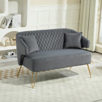 HOMCOM Sofá de 2 Plazas Tapizado en Terciopelo Sofá de Salón con 2 Almohadas Reposabrazos y Patas de Acero Doradas Sofá Pequeño Carga 240 kg para Dormitorio Oficina 124x69x76 cm Gris - details 1