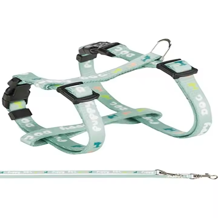 TRIXIE Arnés-Correa Cachorro JUNIOR, 23-34cm/8mm,2m,Menta - 1