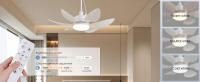 Plug in Ceiling Fan