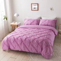 Set De Edredón 3 Piezas Con Cierre De Cremallera Y Amarras En Esquinas Microfibra Suave Con Pliegues Pinch Detección De Alta Calidad - details 28