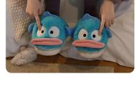 Zapatillas De Algodón De Pato Duna No Slip Cómodas Y Cálidas Para Uso Indoor Unisex Con Peluche Diseño De Pato Duna Para Parejas Y Familias - details 18