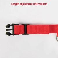 Collar LED Para Perros Ajustable Y Recargable Collar Nocturno Anti-Pérdida Para Pequeños Perros Productos De Mascotas - details 1