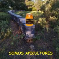 Lote de 2 Kg de miel de Tomillo. - details 0