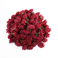 5/10/20Pcs Cabezas De Hiedra Artificial Mini Para Manualidades Fiesta Casero Boda Navidad Decoración De Wreaths DIY Material Seda - details 10
