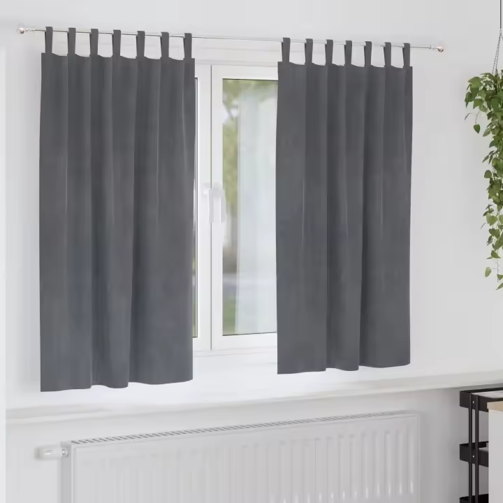 Cortinas Opacas vidaXL con Lazos de Colgar 2 pcs Gris Claro Super Ligero de Terciopelo - 1