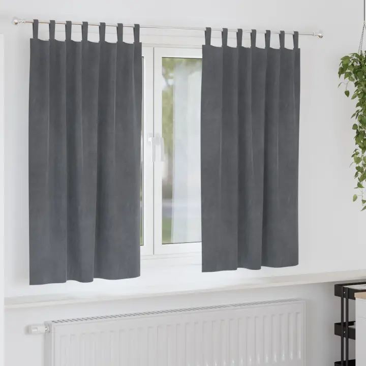 Cortinas Opacas vidaXL con Lazos de Colgar 2 pcs Gris Claro Super Ligero de Terciopelo - 1