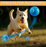 Juguete Interactivo Para Perros Bola Saltar USB Recargable Diseño Duradero Resistente Al Agua Para Todas Las Ambientes De Juego - details 0