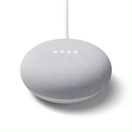 Google Nest Mini Tiza - 1