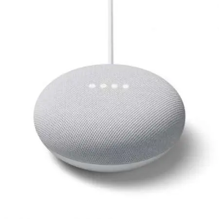 Google Nest Mini Tiza - 1