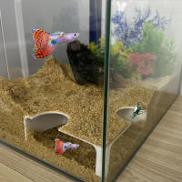 Túnel De Esquina Para Acuario Cueva De Pecera Ornamentos Para Tanque De Peces Para La Cría Juego Y Descanso De Mascotas Acuáticas - details 9