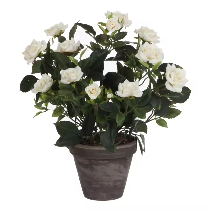 rosal color blanco pvc con maceta gris - 1