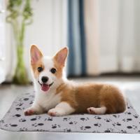 Mantas para cachorros Manta para perros y gatos con huellas de patas Cojín para mascotas Manta suave de vellón para perros y gatos Manta para cachorros y gatos - details 3