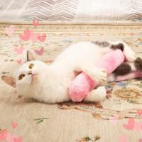 Juguete Interactivo Para Gatos Peluche Resistente Mordedor Con Nepeta Juguetes Para Gatos Jóvenes Tamaño Único - details 7