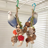 Juguete De Masticación Para Papagayos Periquitos Lovebirds Budgies Cacatúas Conures: Entrenamiento De Mordedura Percha De Tornillo Para Aves De Compaña - details 2