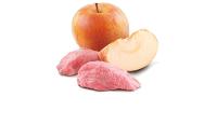 FARMINA ND CAT PRIME JABALI CAJA 24X70GR / Alimento completo para gatos adultos - details 0