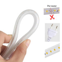 Tira LED Flexible SMD 2835 Impermeable Para Exterior Con Enchufe EU 220V Luz De Techo Para Sala De Estar Cocina Jardín - details 2