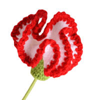 Carnación Tejida a Mano En Algodón Elegante Y Detallada Para Regalo De Aniversario O Día De La Madre Flores Artificiales Aestéticas - details 6