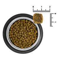 Puro Instinto Pescado Low Grain - Pienso para perros bajo en cereales, con salmón 15 kg - details 1