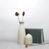 Juego De 2 Vajillas Secas Para Decoración De Hogar Y Oficina Estilo Bohemio Adornos Para Entrada Decoración Artística - details 2